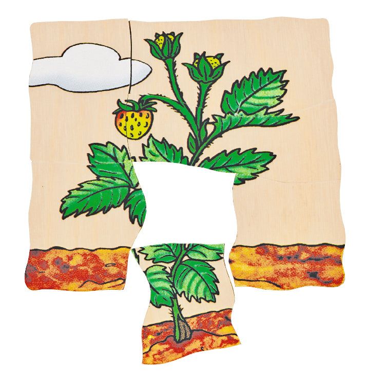 Multilayer Puzzless - Strawberry