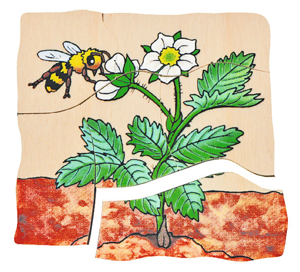 Multilayer Puzzless - Strawberry