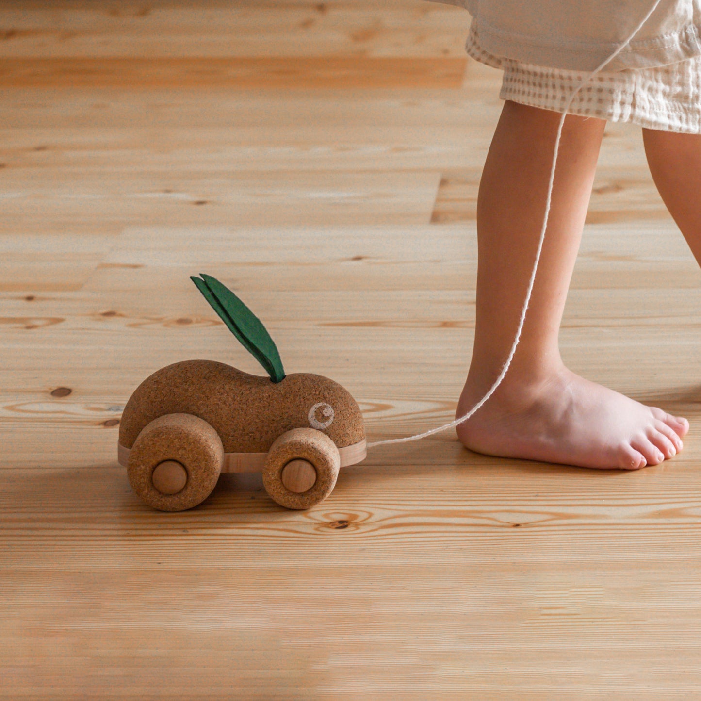 Hopping Bunny - Pull Along Toy