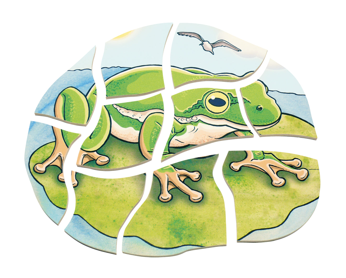 Multilayer Puzzle - Life Courses - Frog