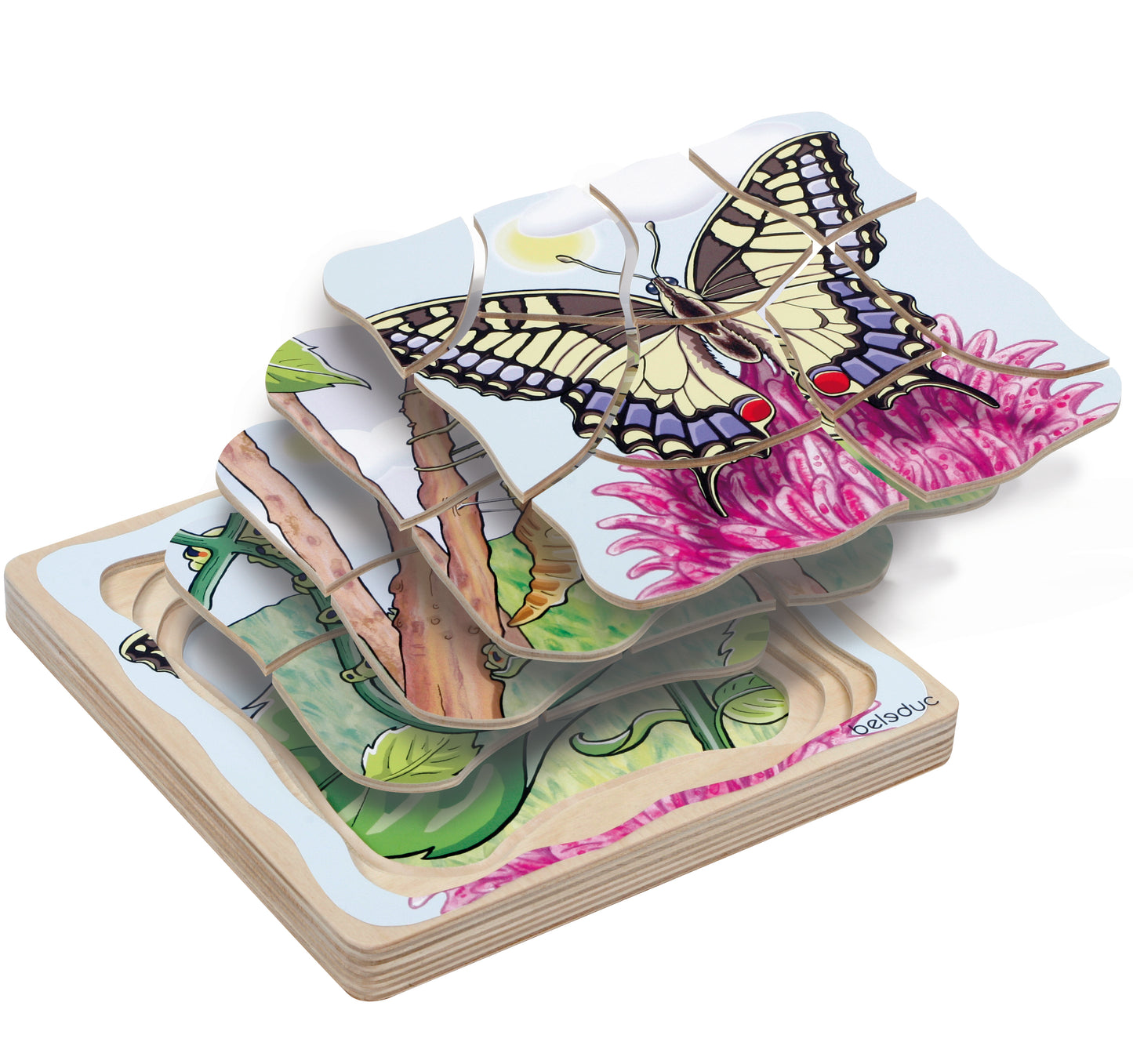 Multilayer Puzzle - Life Courses - Butterfly